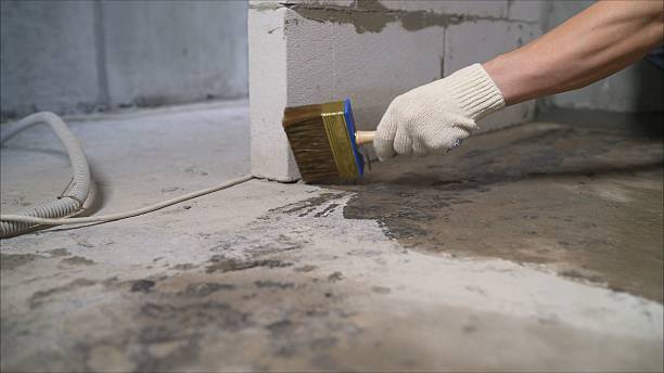 Top rated local Waterproofing specialists in Forest, VA